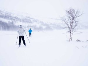 Skidor
